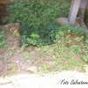 Madrice e dintorni (105) (Copia)